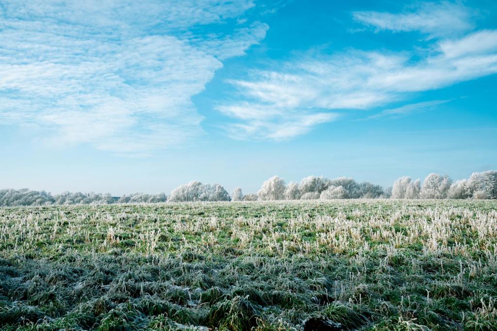 Emergencia agropecuaria en tres provincias por sequías y fenómenos&nbsp;climáticos