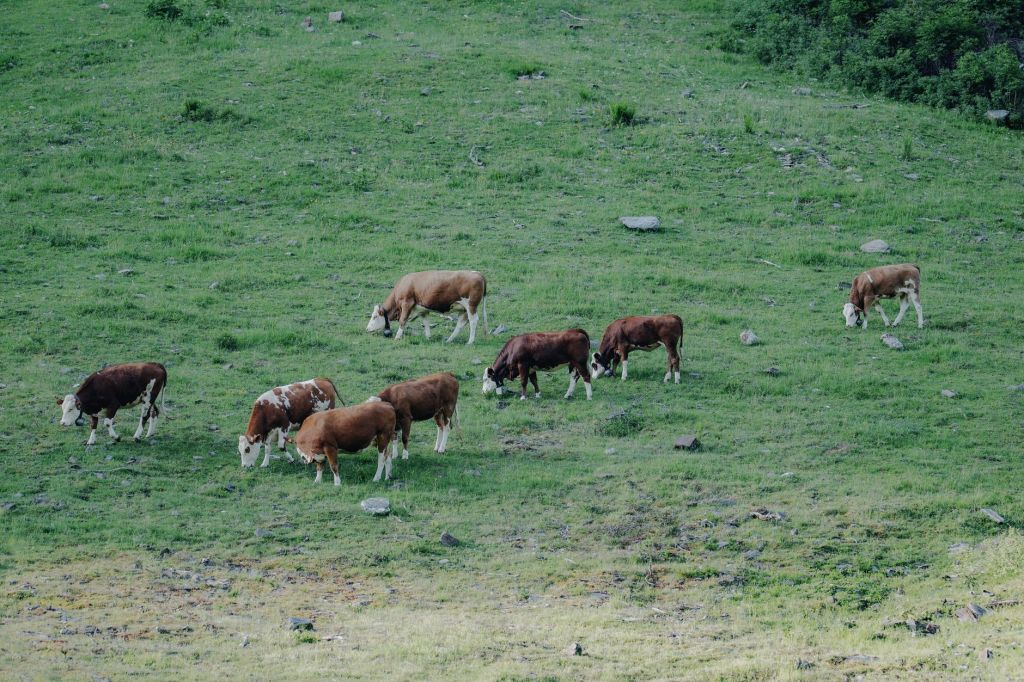 La trampa de pensar en blanco y negro los problemas del&nbsp;campo