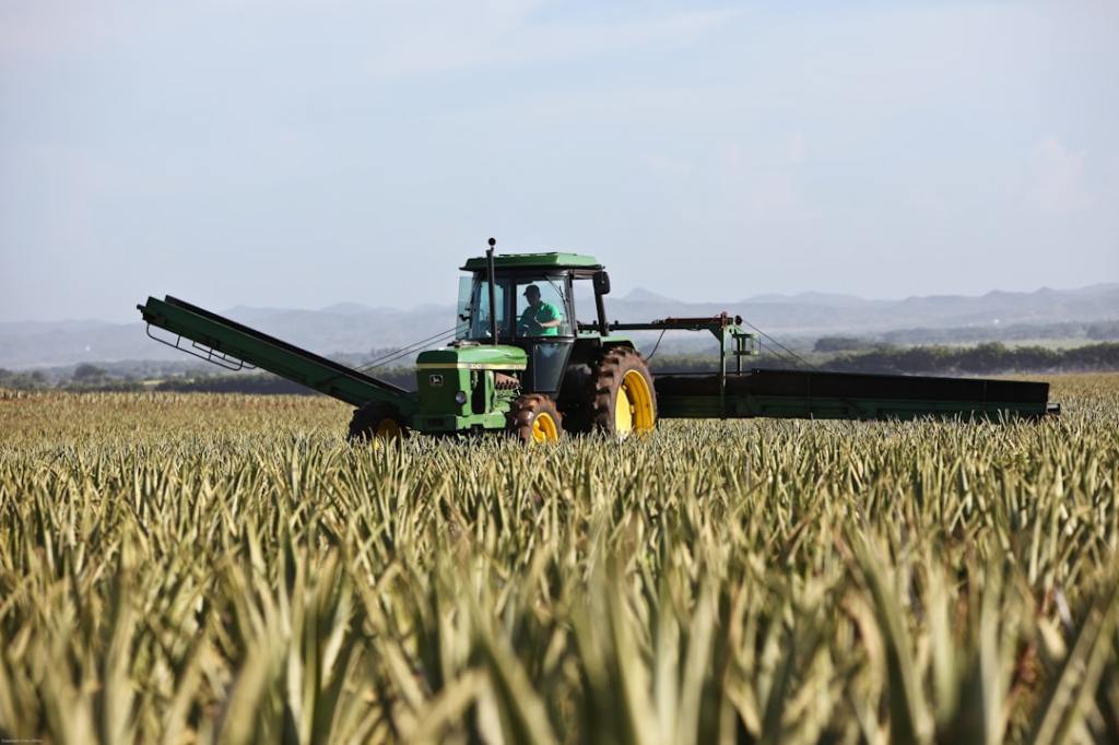 Diez empresas compiten por adquirir la histórica cooperativa&nbsp;SanCor
